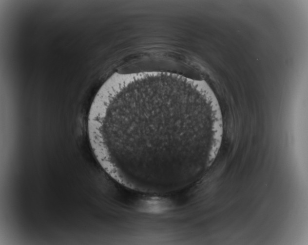 X0000087560467200705251804
