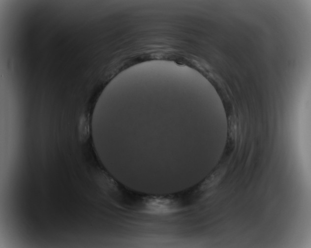 X0000087560471200705251804