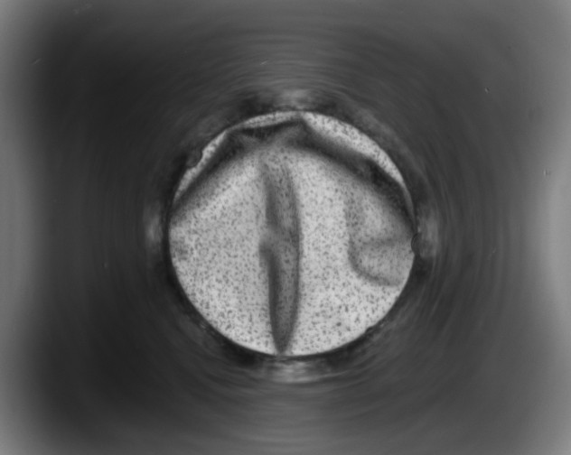 X0000087560472200705251804
