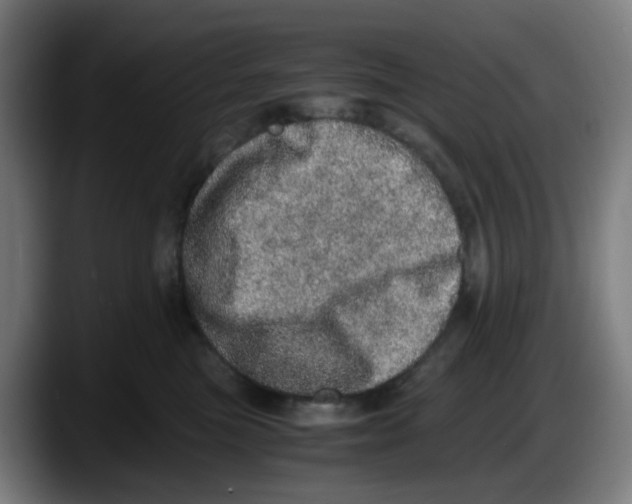 X0000087560473200705251804