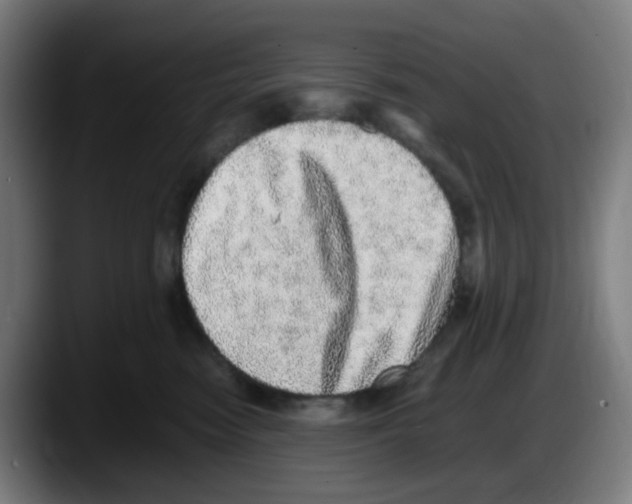 X0000087560474200705251804