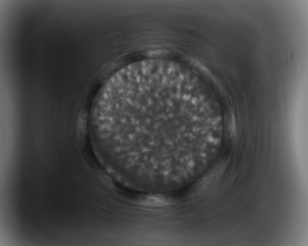 X0000087560475200705251804