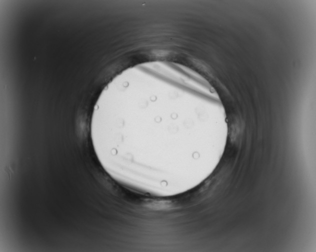 X0000087560476200705251804