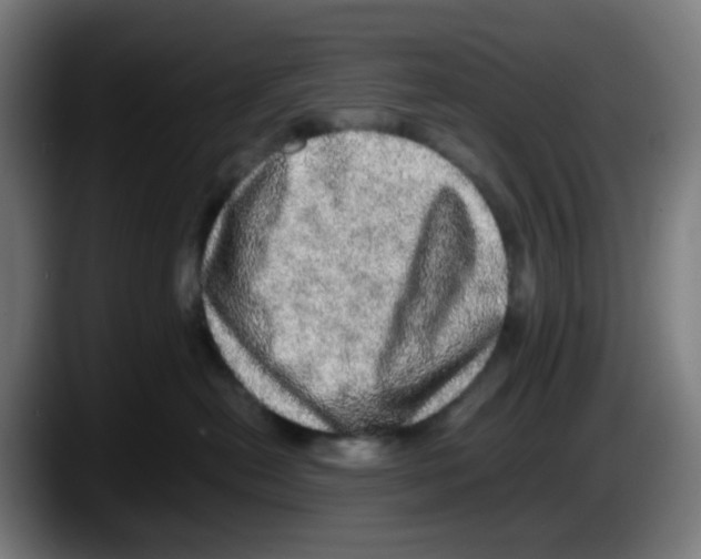 X0000087560478200705251804