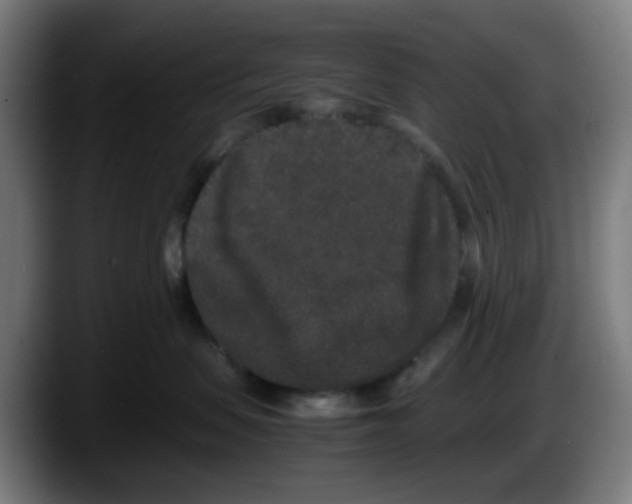 X0000087560479200705251804
