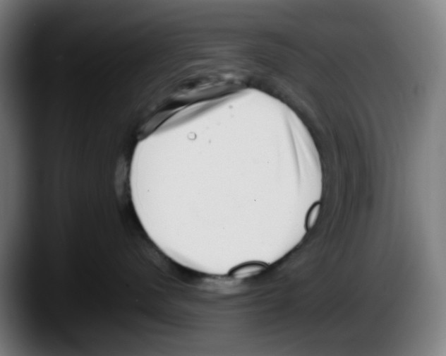 X0000087560480200705251804