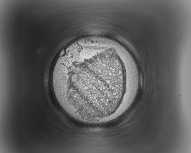 X0000087560483200705251803