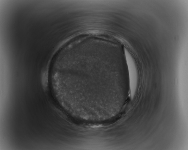 X0000087560484200705251803