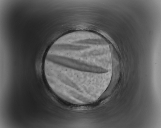 X0000087560485200705251803