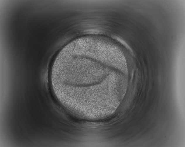 X0000087560486200705251803
