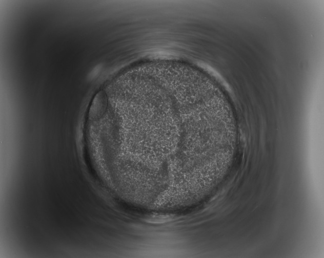 X0000087560487200705251803