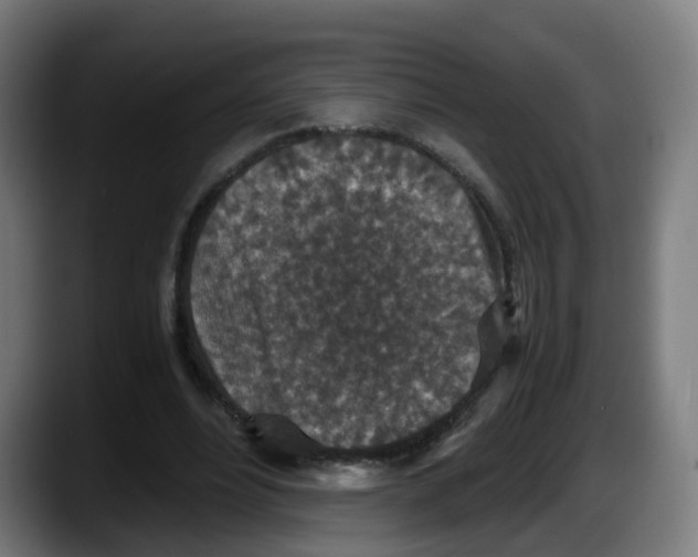 X0000087560488200705251803