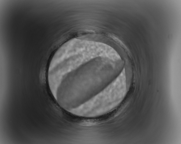 X0000087560489200705251803