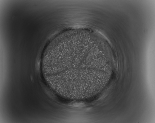 X0000087560491200705251803