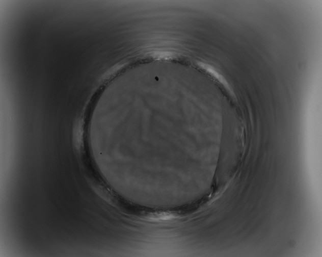 X0000087560492200705251803