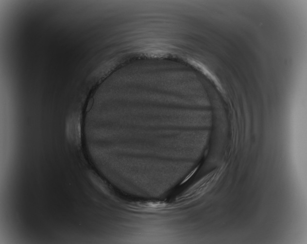 X0000087560493200705251803