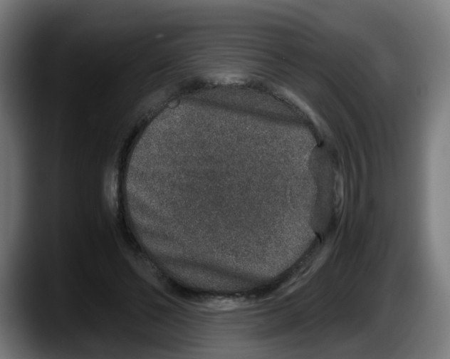 X0000087560494200705251803