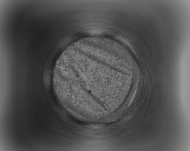 X0000087560495200705251803