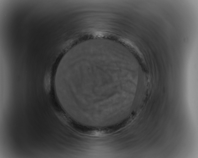 X0000087560496200705251803