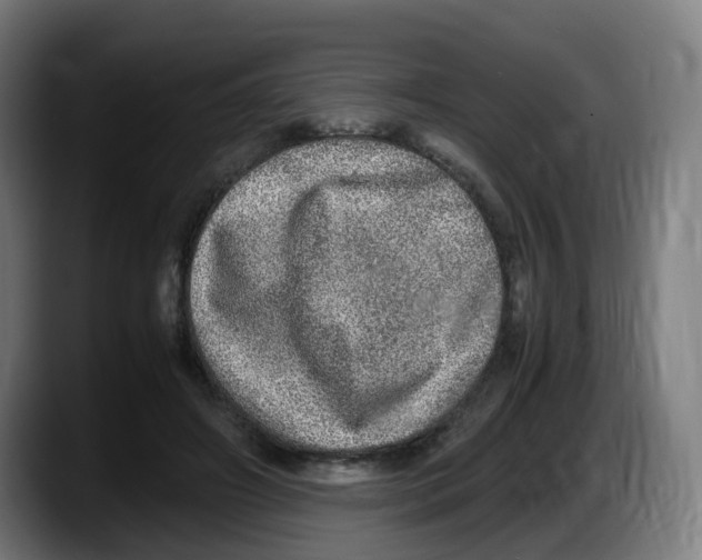 X0000087560498200705251803