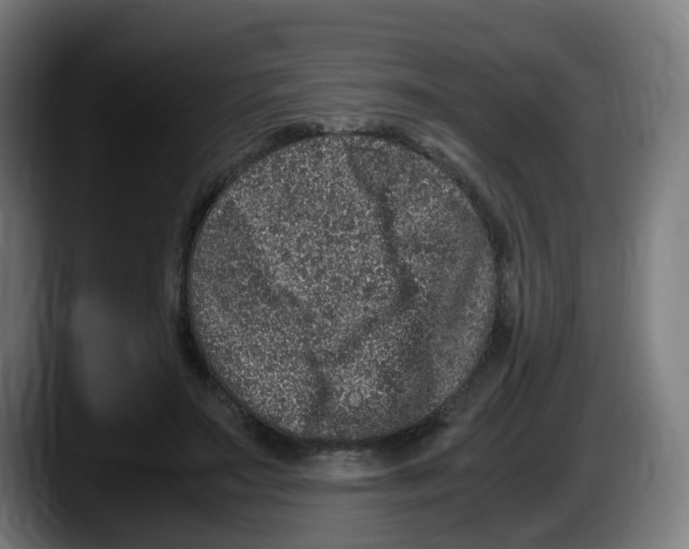 X0000087560499200705251803