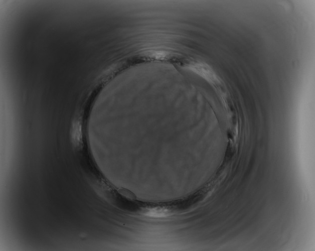 X0000087560500200705251803