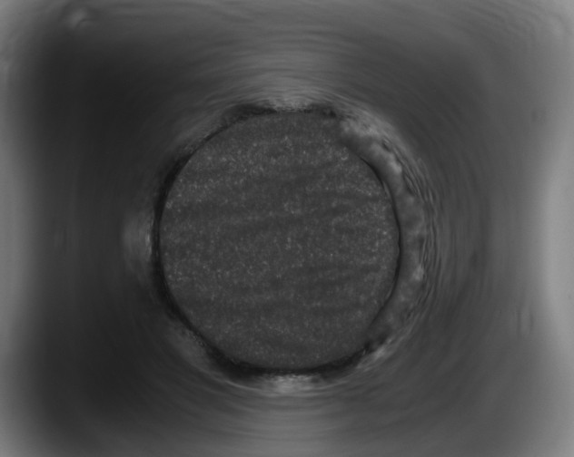 X0000087560501200705251803