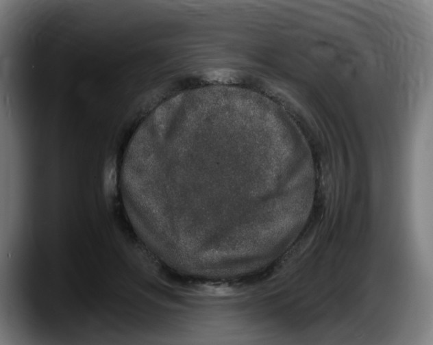 X0000087560502200705251803