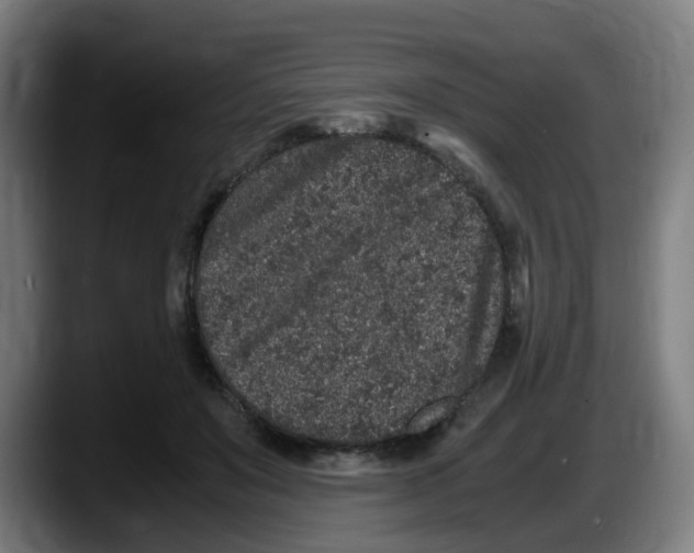X0000087560503200705251803
