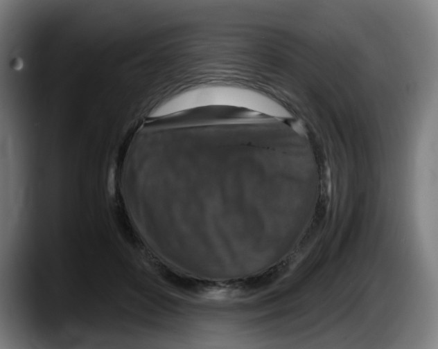 X0000087560504200705251803