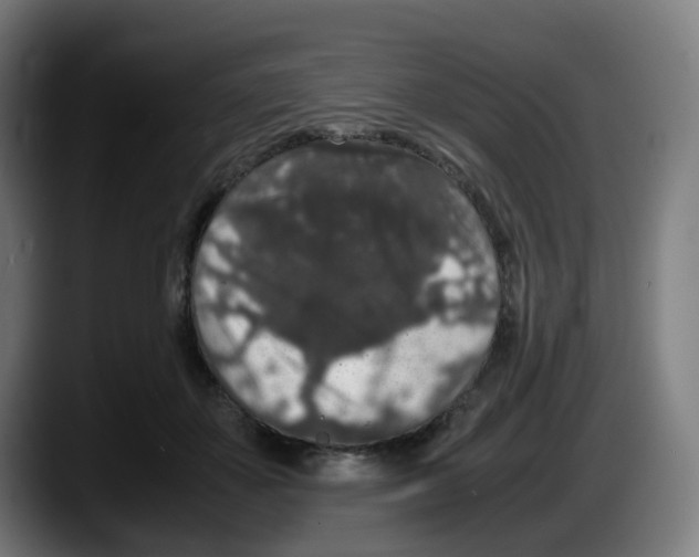 X0000087560507200705251803