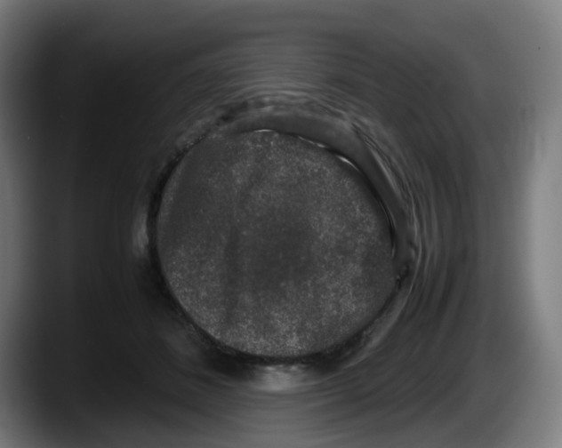 X0000087560508200705251803