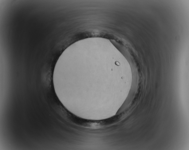 X0000087560509200705251803