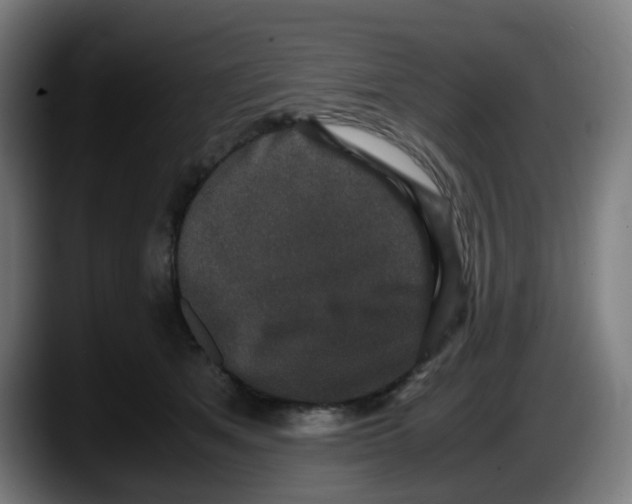 X0000087560513200705251803