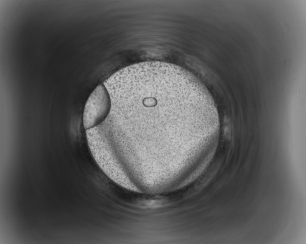 X0000087560514200705251803