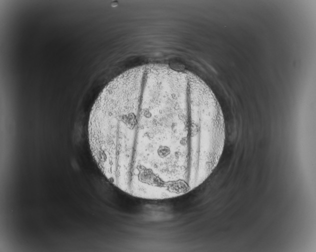 X0000087560515200705251803
