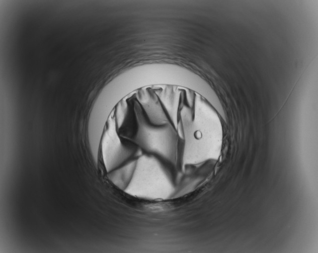 X0000087560516200705251803
