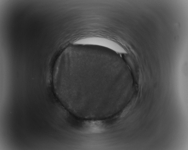 X0000087560517200705251803