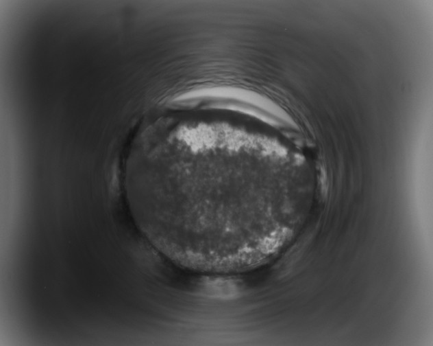 X0000087560520200705251803