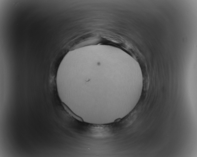 X0000087560521200705251803