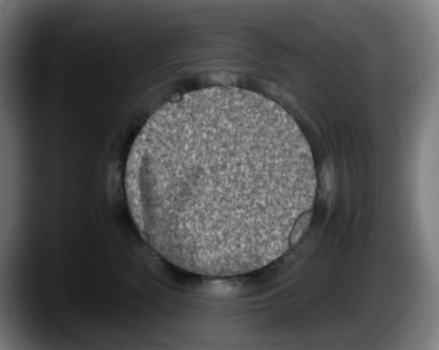 X0000087560522200705251803