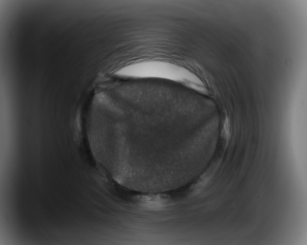 X0000087560524200705251803