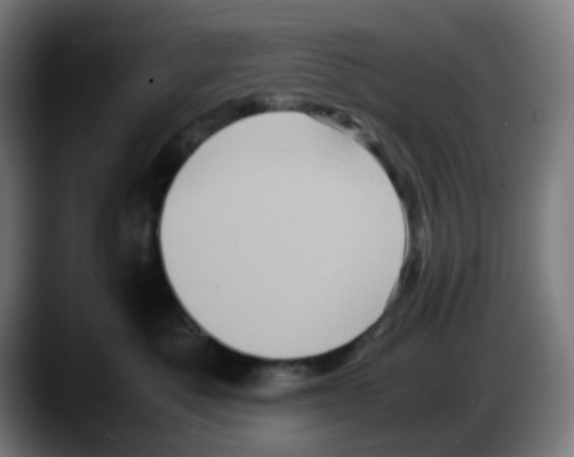 X0000087560525200705251803