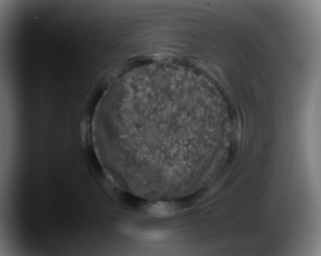 X0000087560527200705251803