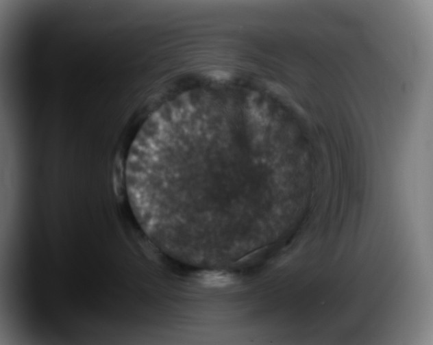 X0000087560528200705251803