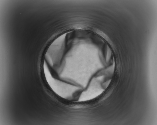 X0000087560530200705251802