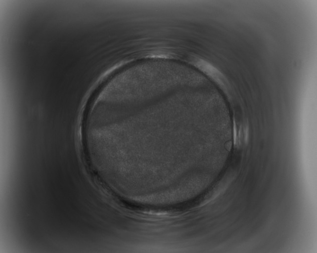 X0000087560531200705251802