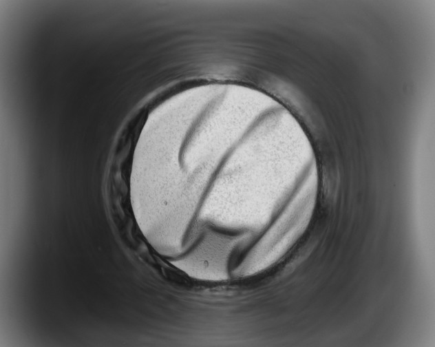 X0000087560532200705251802
