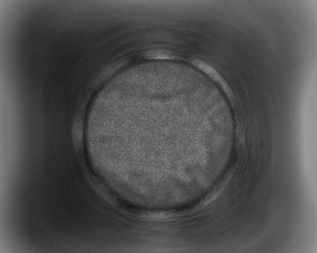 X0000087560533200705251802