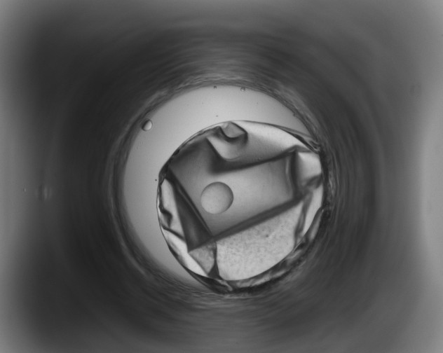 X0000087560534200705251802